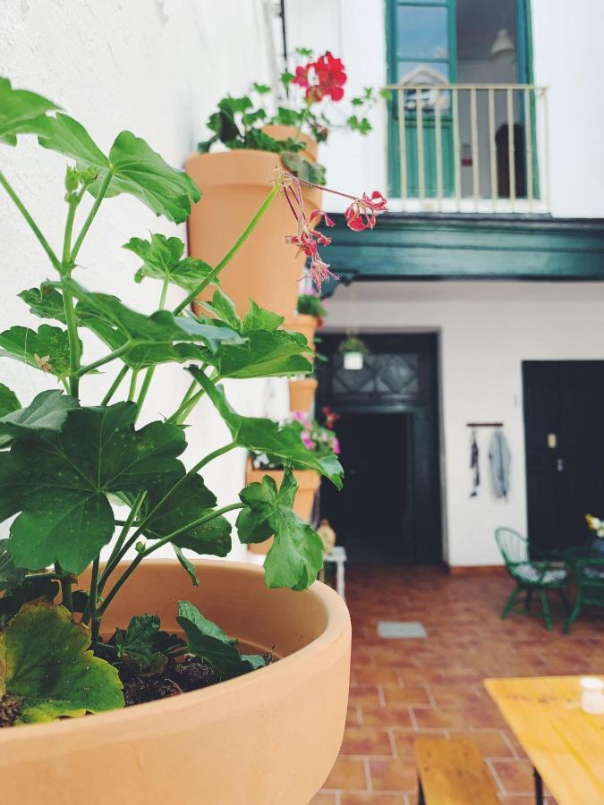 Maria Magdalena - Room 3 Malaga Exterior photo